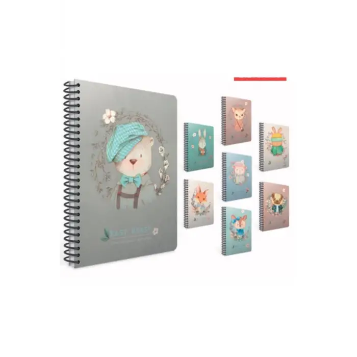 GIPTA DEFTER EASY NOTES 17x24 120YP ÇİZG SPR.