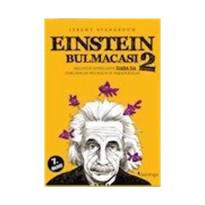 EİNSTEİN BULMACASI 2