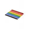 BİC PLASTIDECOR SİLİNEBİLİR  PASTEL BOYA 12Lİ