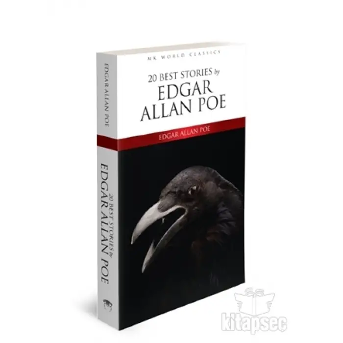 20 Best Stories By Edgar Allan Poe İngilizce Roman