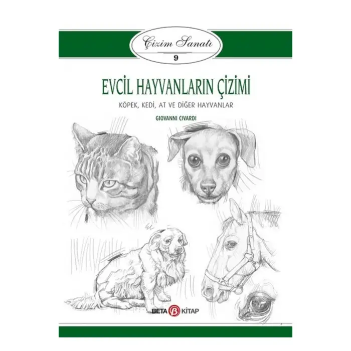 ÇİZİM SANATI 9 EVCİL HAYVANLARIN ÇİZİMİ