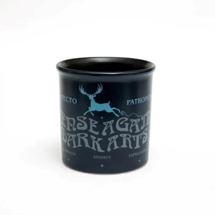 MACMUG 380825 HARRY POTTER AMSTERDAM MUG DEFENCE AGAINTS DARK ARTS SERAMİK KUPA