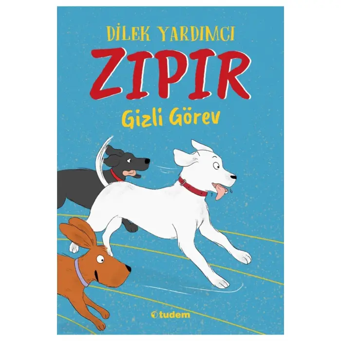 ZIPIR GİZLİ GÖREV