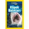 Köpek Balıkları National Geographic Kids