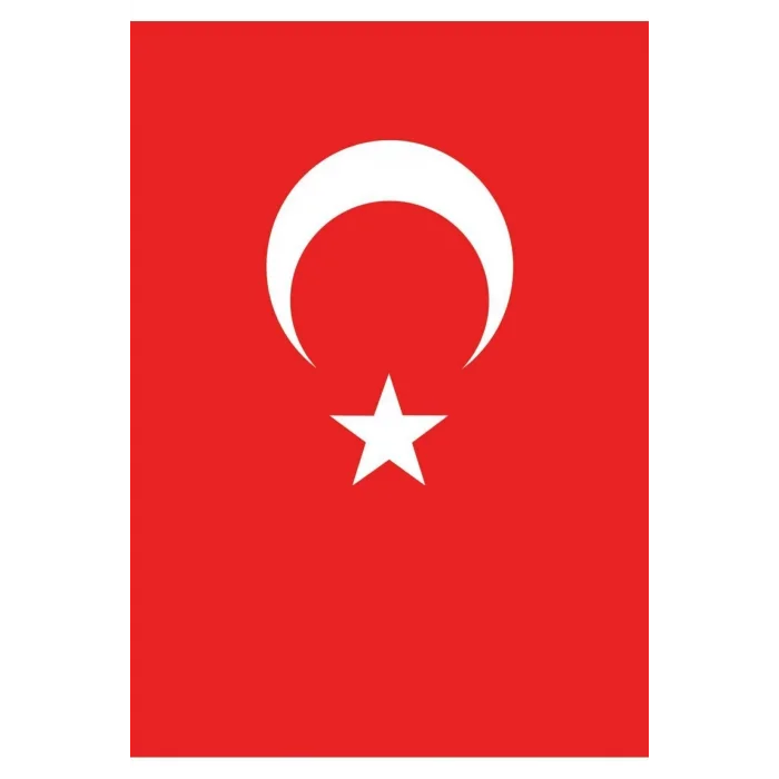 VATAN BAYRAK (70x105) POLYESTER