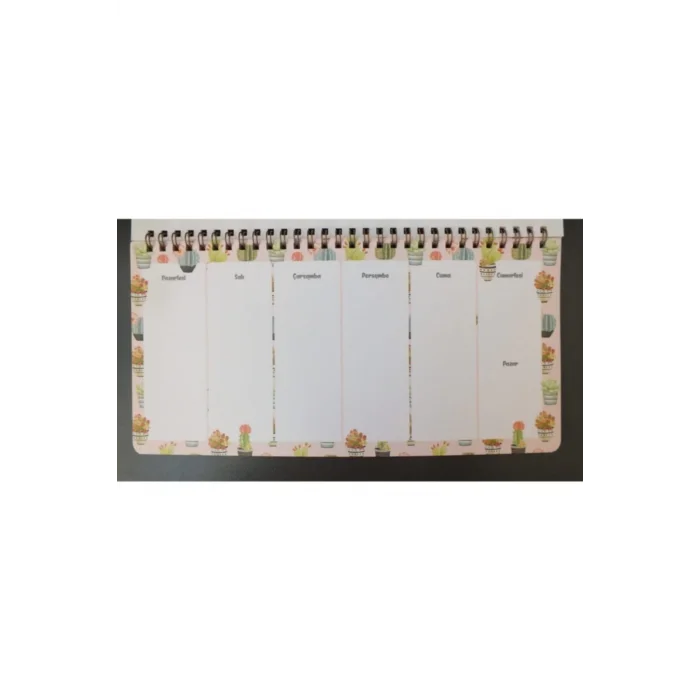KESKİN PLANNER 13X27 SPR CACTUS