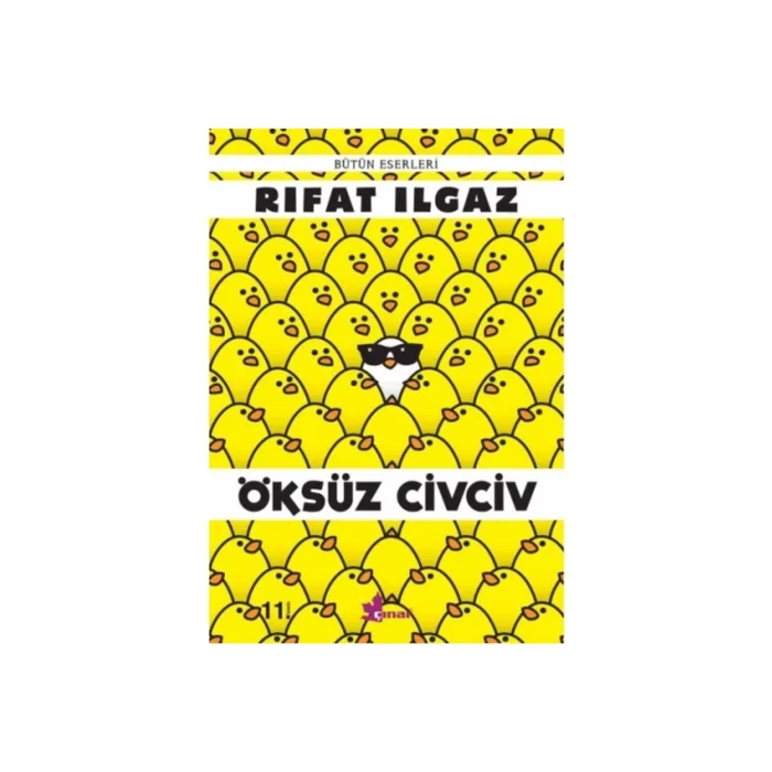 ÖKSÜZ CİVCİV YENİ