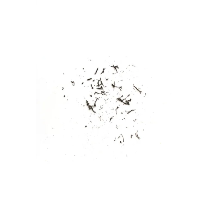 Tombow Mono Knock Kalem Silgi Şeffaf Yeşil