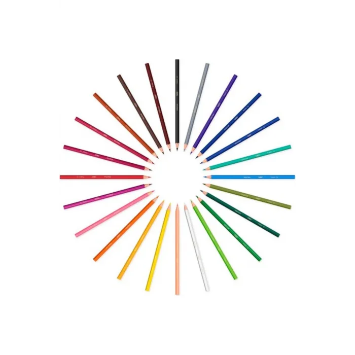 Bic Evolution Kuru Boya 24Lü