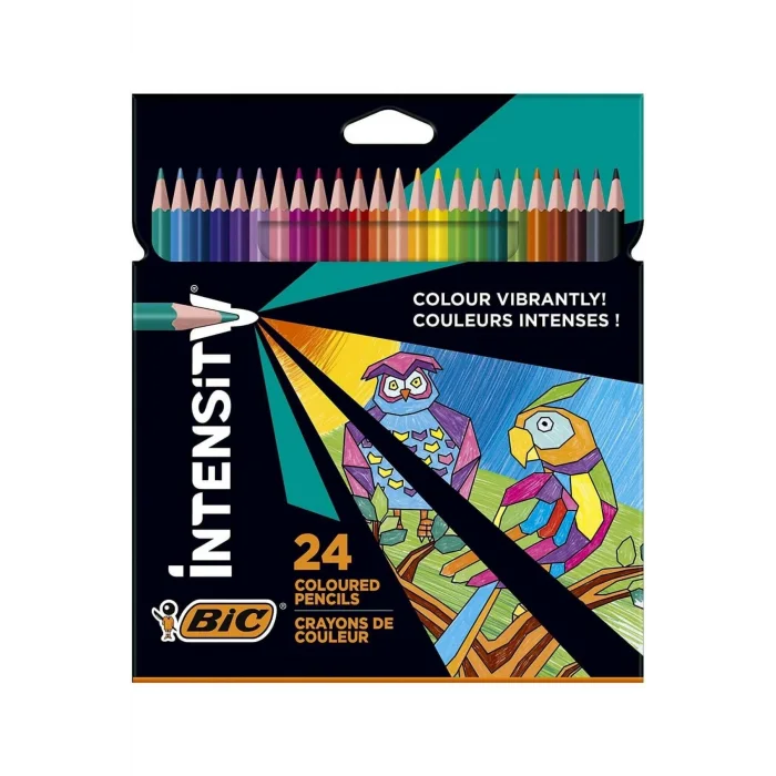 BİC COLOR UP 24LÜ KURU BOYA