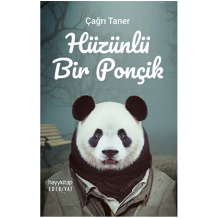 HÜZÜNLÜ BİR PONÇİK