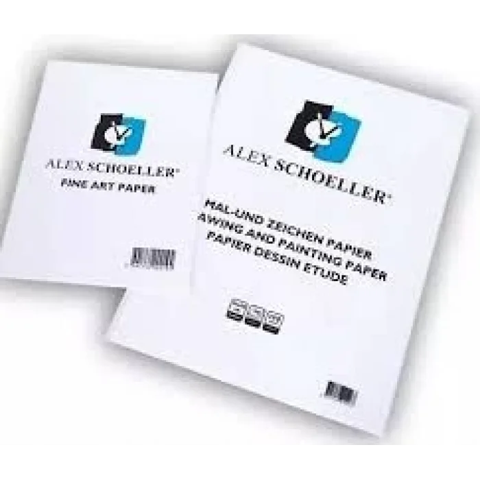 ALEX RESİM KAĞIDI 25X35CM 120GR.10LU POŞET