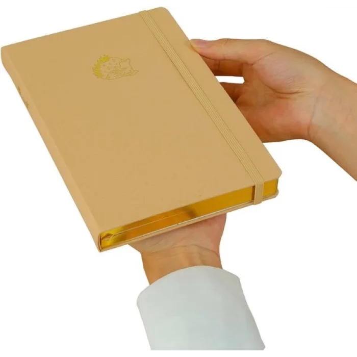 VİCTORİAS JOURNALS BUJO DEFTER KETEN , 96 YAPRAK, 160 GR. BEYAZ KAĞIT ,CEPLİ ,LASTİKLİ.NOKTALI BEJ 124-1649