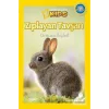 National Geographic Ziplayan Tavşan