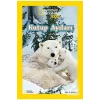 Beta Kids National Geographic Kids Kutup Ayıları