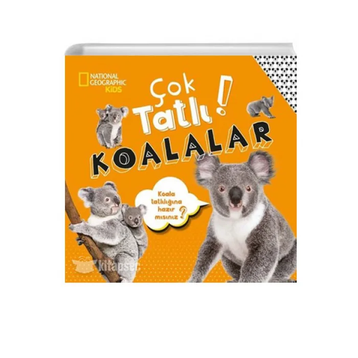 ÇOK TATLI KOALALAR