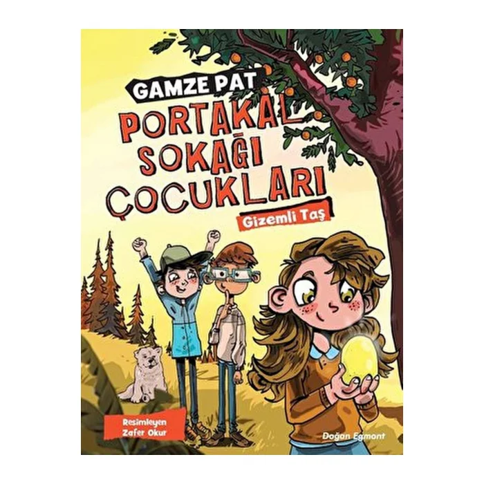 Portakal Sokağı Çocukları Gizemli Taş