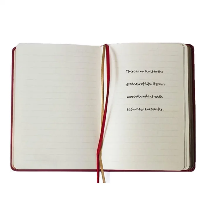 VJ DEFTER 12x17 VINTAGE OLD BOOK ONE SİZE ÇİZGİLİ 1187