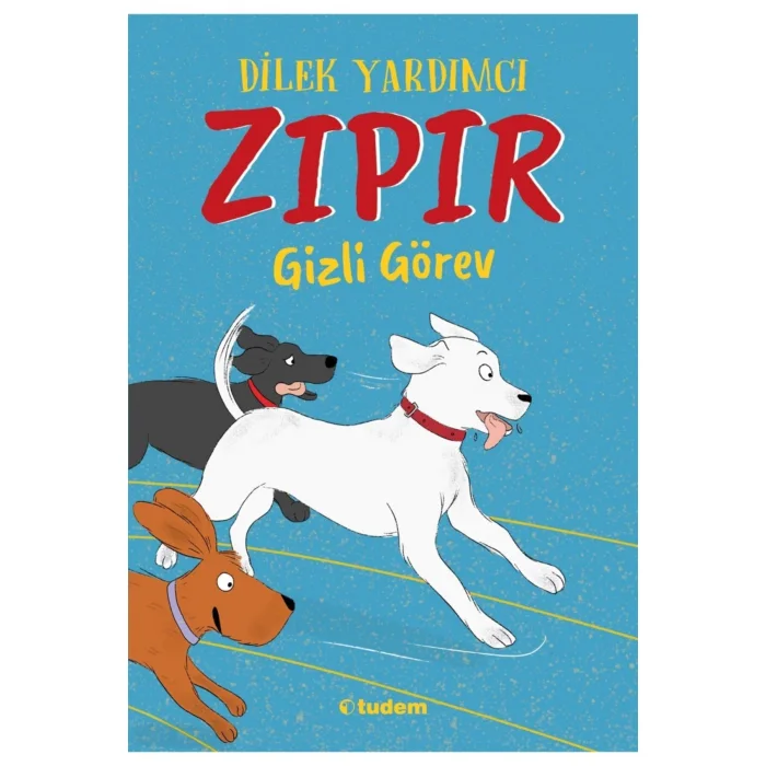 ZIPIR GİZLİ GÖREV