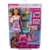Barbie ve Yavru Kedileri Oyun Seti HHB70