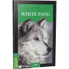 STAGE 3 WHITE FANG