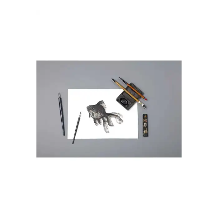 CLAIREFONTAINE TEKNİK DEFTER A3 MULTİ LAVİS 20YP.AL96342