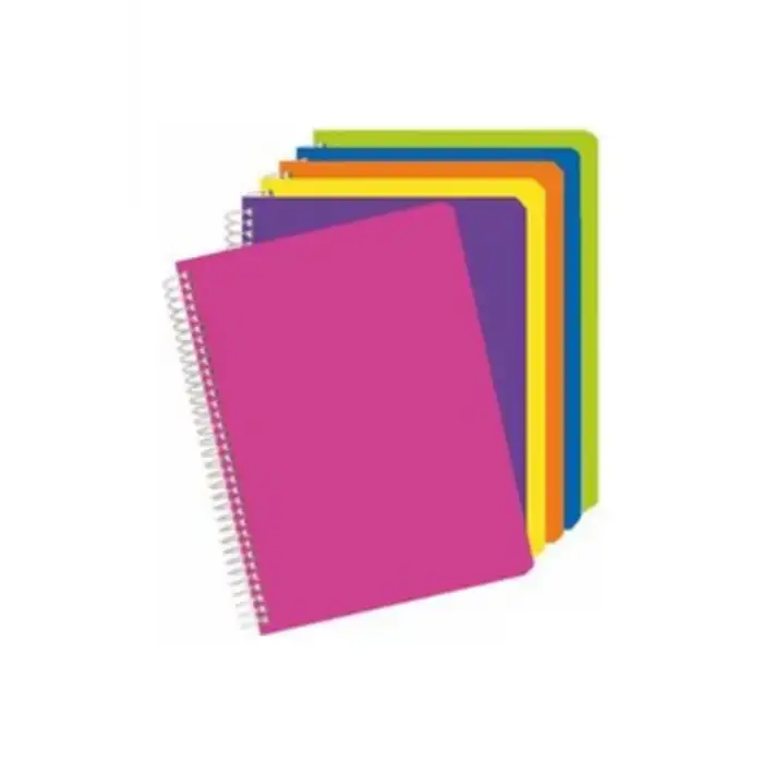 Alex Defter Spr.Pp Kpk.A4 (713) 100Yp Kareli