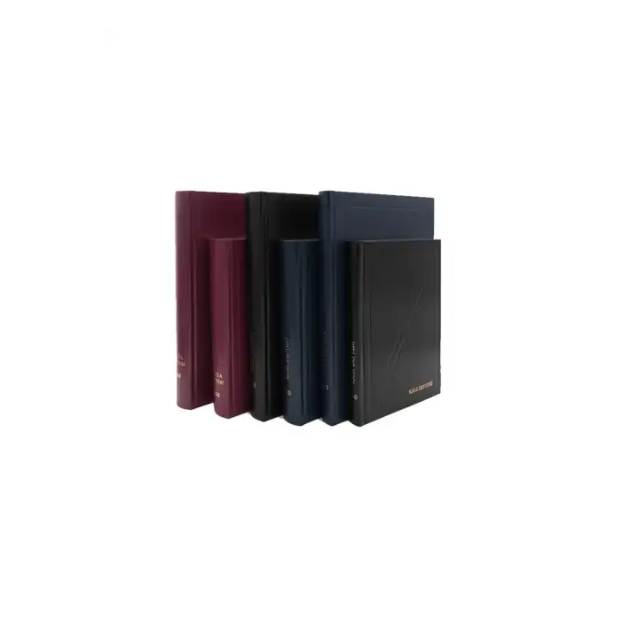 DİLMAN KASA DEFTERİ 20x28 320yp