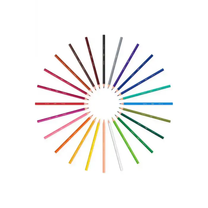 Bic Evolution Kuru Boya 24Lü