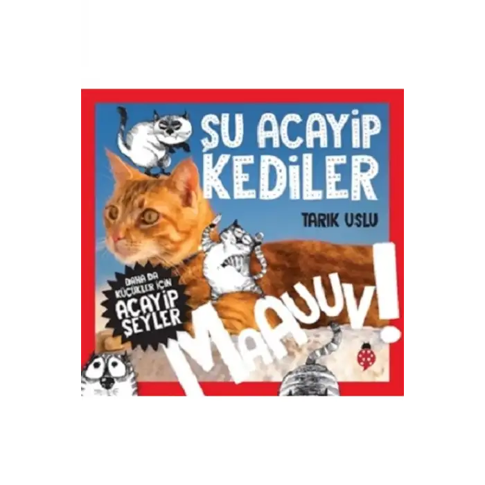 Daha da Küçükler İçin Şu Acayip Kediler