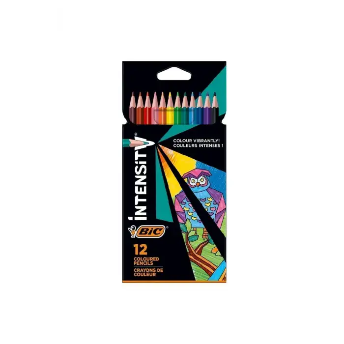 BİC COLOR UP ÜÇGEN 12Lİ KURU BOYA