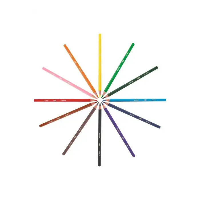 Bic Evolution Metal Kuru Boya 24+1