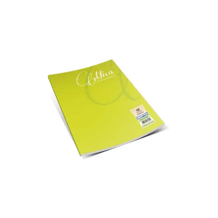 GIPTA MICA TEL DİKİŞLİ PP KAPAK A4 60 YP. DÜZ DEFTER