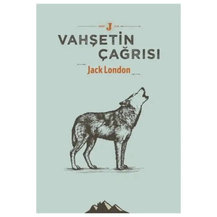 VAHŞETİN ÇAĞRISI