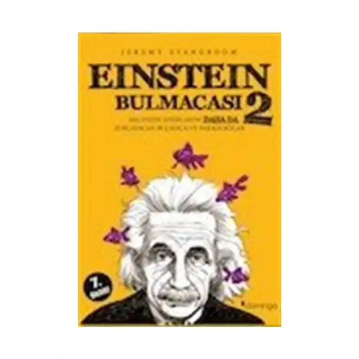 EİNSTEİN BULMACASI 2