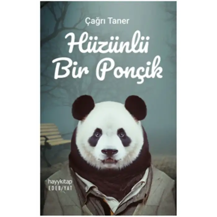 HÜZÜNLÜ BİR PONÇİK