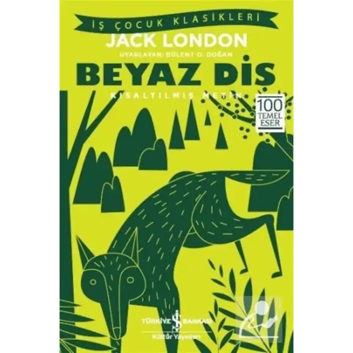 BEYAZ DİŞ KISALTILMIŞ METİN