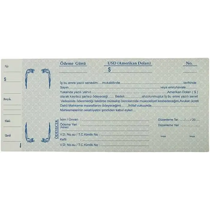 DİLMAN DOLAR SENEDİ 100YP
