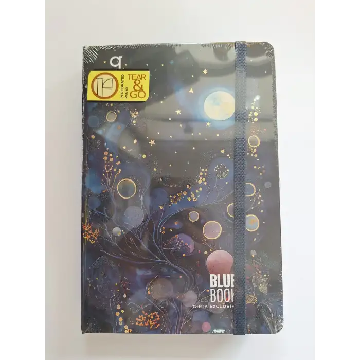 GIPTA BLUE BOOK İP DİK SERT KAP DEF 17x24 96 CIZ DUZ