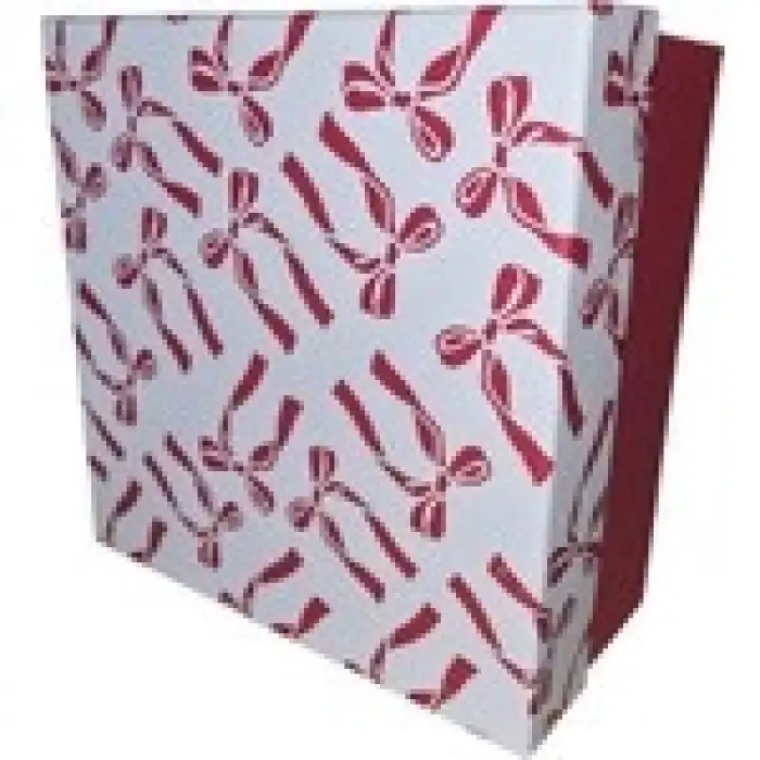 GIPTA BOWEN KARE HEDİYE KUTUSU BX3302 C NO:5 210x210x105mm - TEKLİ