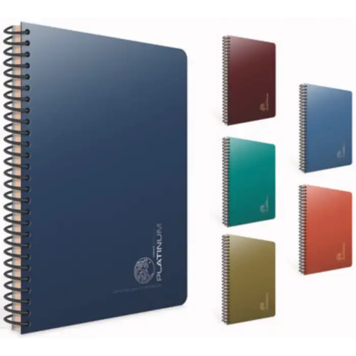 GIPTA DEFTER PLATINUM 17x24 100YP.KARE SPR.PP KPK