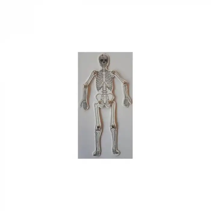 MİSYON ST08007 İSKELET SİSTEMİ MODEL YAPIM SETİ A4