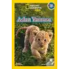 National Geographic Aslan Yavrusu