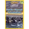 Beta Kids National Geographic Kids Harika Hayvan Yolculukları