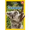 Beta Kids National Geographic Kids Koalalar