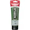 AMS AKRİLİK BOYA 120ML. OLIVE GREEN DP