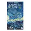 OLAĞANÜSTÜ BİR GECE