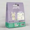 HELLO CRAFTS TIĞ İŞİ MİNİ AMİGURUMİ KİTİ-BINKY