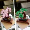 LEGO® ICONS Bonsai Ağacı 10281 - Yetişkinler İçin Bitki Figürü İçeren Sergilenebilir Yaratıcı Model Yapım Seti (878 Parça)