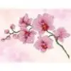 Diamond Dotz Orchid Spray - 27X37CM